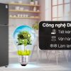 Tủ lạnh Samsung Inverter 305 lít RT31CG5424B1SV - Hình ảnh 6