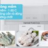 Tủ lạnh Samsung Inverter 236 lít RT22M4040DX/SV - Hình ảnh 2