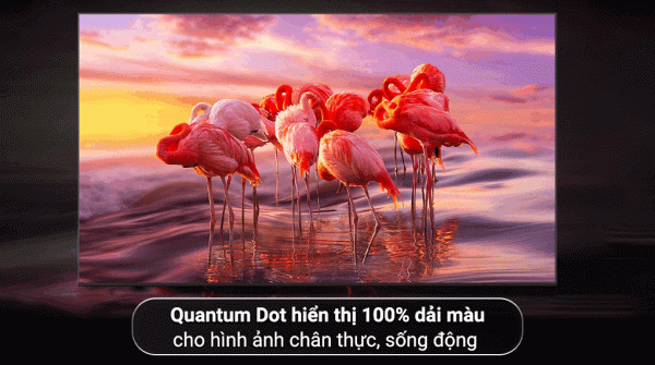 Smart Tivi Neo QLED 4K 55 inch Samsung QA55QN85B - Hình ảnh 3