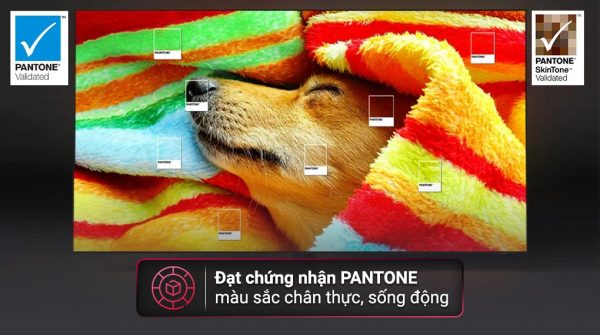 Smart Tivi OLED Samsung 4K 77 inch QA77S90CA - Hình ảnh 4